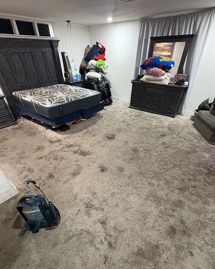 Master bedroom carpet, before cleaning